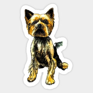 Yorkie Sticker